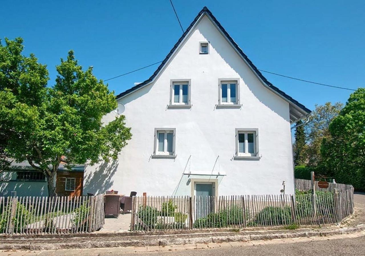 שטאופן אין בריישגאו Ferienwohnung Im Weingewoelbe מראה חיצוני תמונה